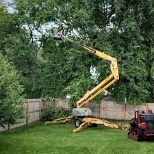 Best Lawn Watering Services  in Slaughterville, OK