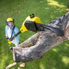 Best Artificial Turf Installation  in Slaughterville, OK