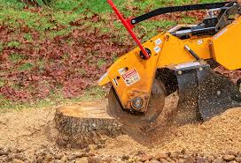 Best Lawn Mowing  in Slaughterville, OK