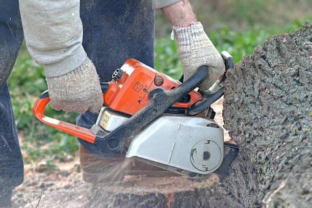 Best Soil Testing and Treatment  in Slaughterville, OK